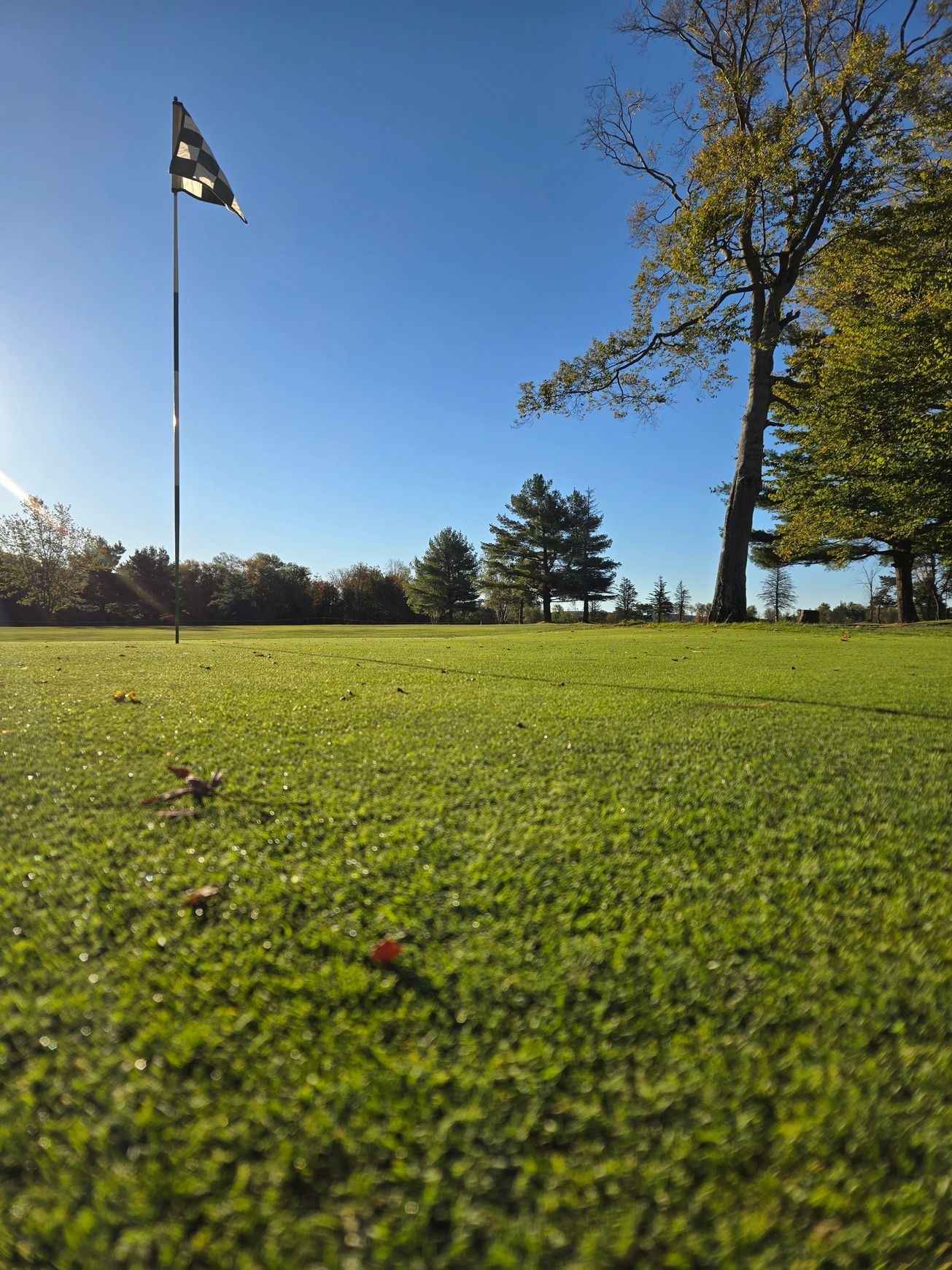 Wemberly Hills Golf Course - Photo 5